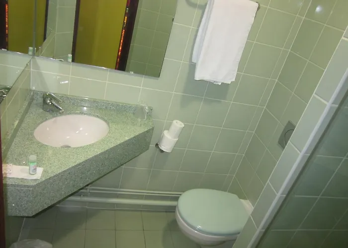 Siatel Metz Hotel 2*