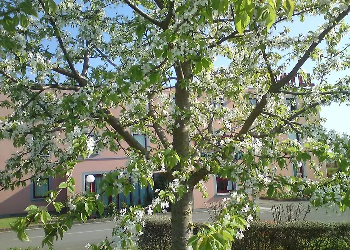 Siatel Metz Norroy-le-Veneur